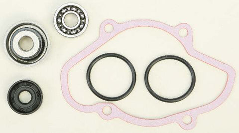 WINDEROSA WATER PUMP REBUILD S/M 721312