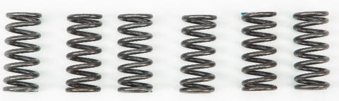 EBC CLUTCH SPRINGS CSK2