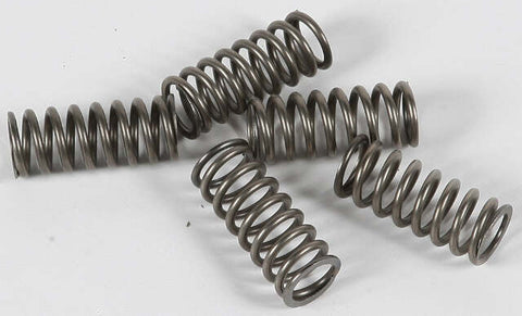 EBC CLUTCH SPRINGS CSK101