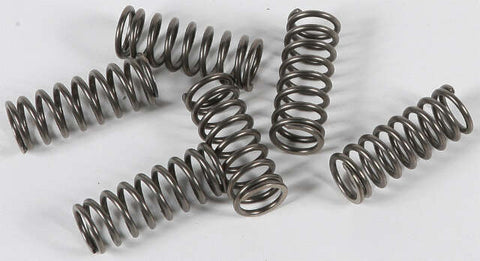 EBC CLUTCH SPRINGS CSK122