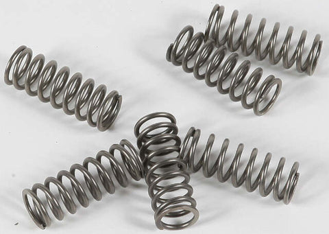 EBC CLUTCH SPRINGS CSK133