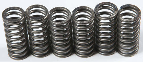 EBC CLUTCH SPRINGS CSK210