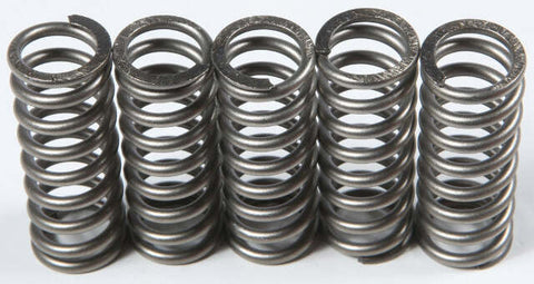 EBC CLUTCH SPRINGS CSK214