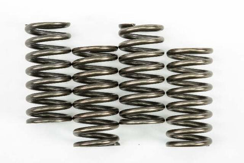 EBC CLUTCH SPRINGS CSK248