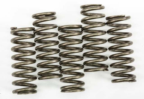 EBC CLUTCH SPRINGS CSK254