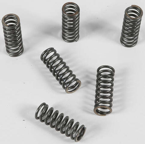 EBC CLUTCH SPRINGS CSK45