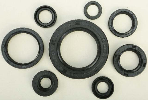 WINDEROSA OIL SEAL SET 822110