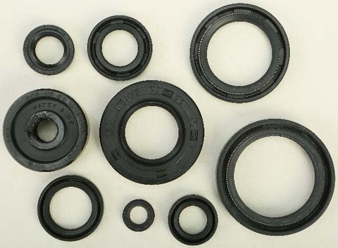 WINDEROSA OIL SEAL SET 822119