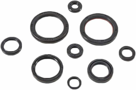 WINDEROSA OIL SEAL SET 822989