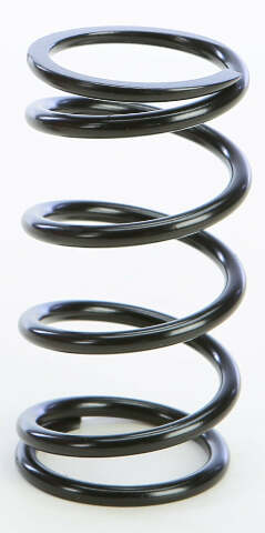EPI PRIMARY CLUTCH SPRING BLACK PS-4