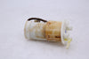 Triumph 2006 Daytona 675 OEM Fuel Pump