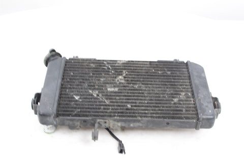 Radiator Suzuki SV650/S 99-02 OEM SV 650