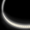 GROTE XTL LED Light Strip 11.3