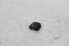 Kawasaki 1992 ZX600D Ninja ZX6 OEM Starter Switch Relay