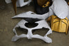 Kawasaki 2021 ZX6R Fairing Cowl Set OEM