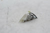 Suzuki 2006 GSXR600 Rear Left Turn Signal OEM