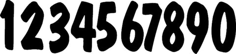 DIRT DIGITS #9 WHITE PRO LITE DIGITS 3/PK PL53W-9