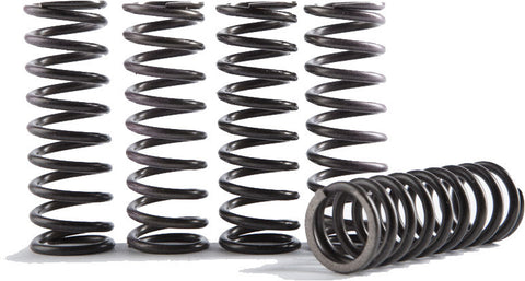 HINSON HIGH TEMP SPRINGS 6 SPRINGS CS095-6-001