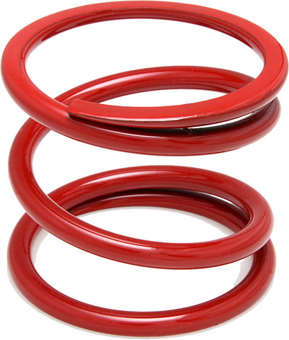 KPMI CLUTCH SPRING 20-0787