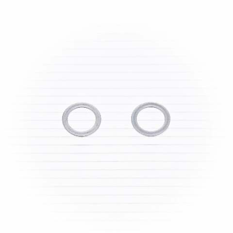BOLT BANJO CRUSH WASHERS 10MM 50/PK DPWM10.145-50