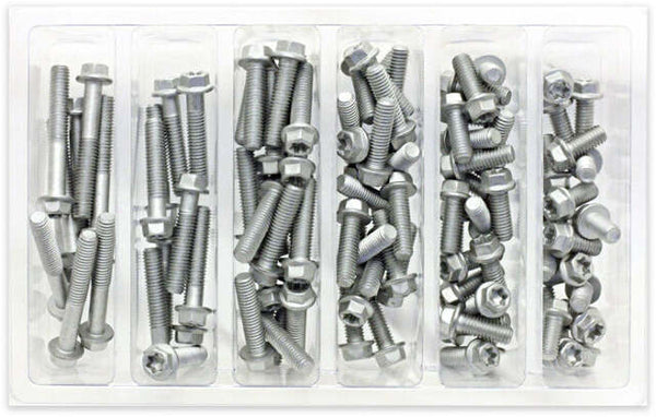 M6 EURO TORX FLANGE BOLT ASSORTMENT 100 PIECE KIT SV-M6EURO