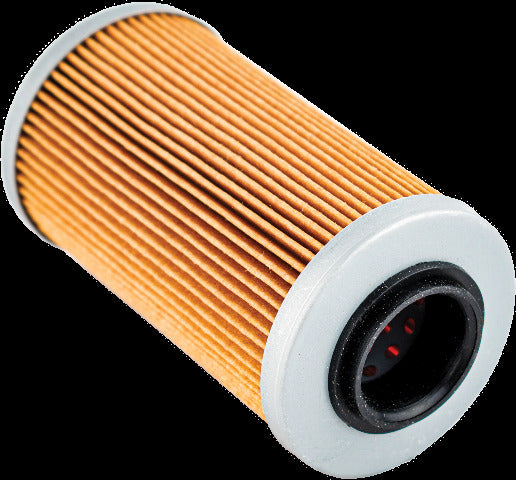 WSM OIL FILTER SEA/SKI 006-560