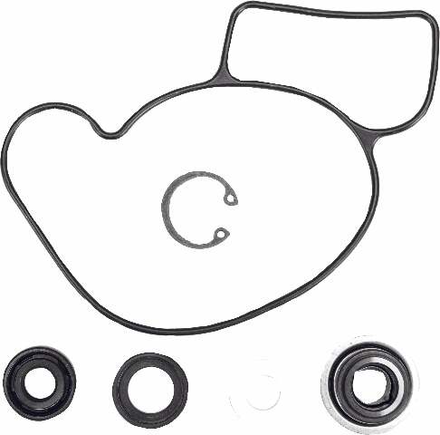 WINDEROSA WATER PUMP REBUILD S/M 721311