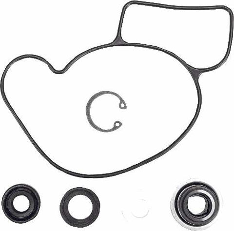 WINDEROSA WATER PUMP REBUILD S/M 721311
