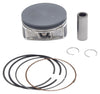 VERTEX PISTON KIT CAST 92.96/STD 10.0:1 POL 24482B