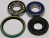 ALL BALLS CHAIN CASE BEARING & SEAL KIT 14-1017