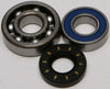 ALL BALLS CHAIN CASE BEARING & SEAL KIT 14-1028