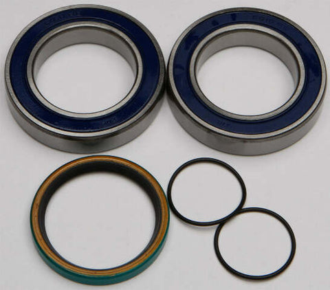 ALL BALLS CHAIN CASE BEARING & SEAL KIT 14-1035
