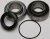 ALL BALLS CHAIN CASE BEARING & SEAL KIT 14-1046