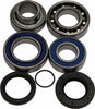 ALL BALLS CHAIN CASE BEARING & SEAL KIT 14-1059