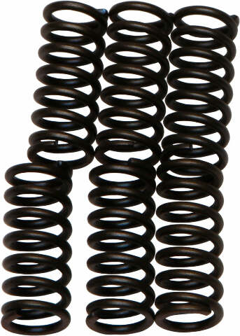 EBC CLUTCH SPRINGS CSK1