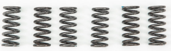 EBC CLUTCH SPRINGS CSK2