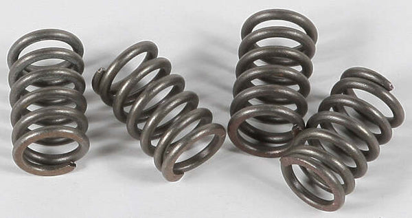 EBC CLUTCH SPRINGS CSK3