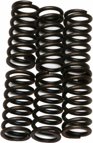 EBC CLUTCH SPRINGS CSK6