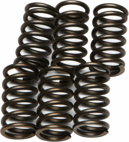 EBC CLUTCH SPRINGS CSK10