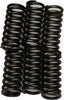 EBC CLUTCH SPRINGS CSK103