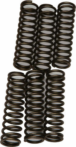 EBC CLUTCH SPRINGS CSK109