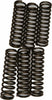 EBC CLUTCH SPRINGS CSK109