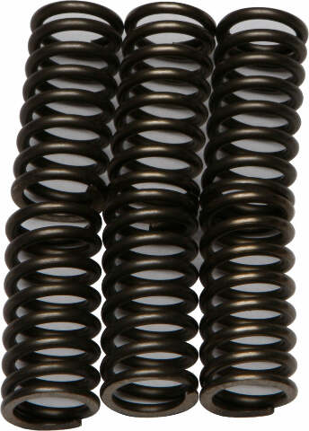 EBC CLUTCH SPRINGS CSK111