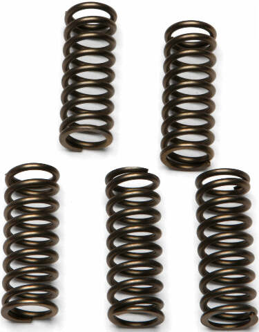 EBC CLUTCH SPRINGS CSK112