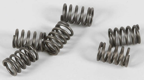 EBC CLUTCH SPRINGS CSK114