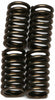 EBC CLUTCH SPRINGS CSK115