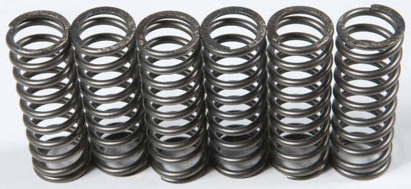 EBC CLUTCH SPRINGS CSK119
