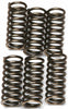 EBC CLUTCH SPRINGS CSK120