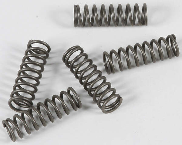 EBC CLUTCH SPRINGS CSK124