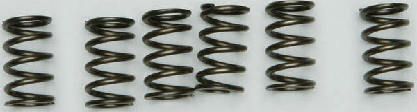EBC CLUTCH SPRINGS CSK135